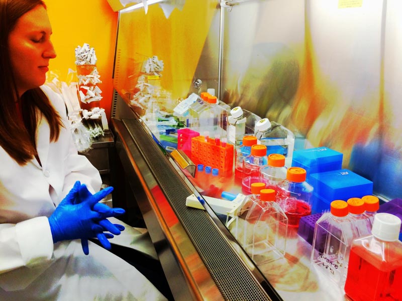 Brand Storytelling Identity Integration + Experience Design