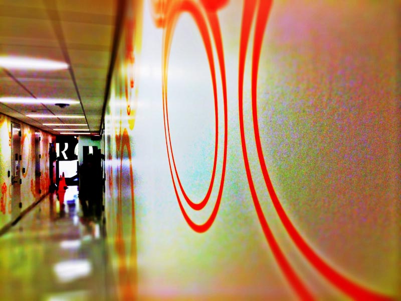 Brand Storytelling Identity Integration + Experience Design