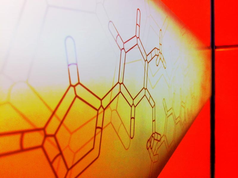 Brand Storytelling Identity Integration + Experience Design