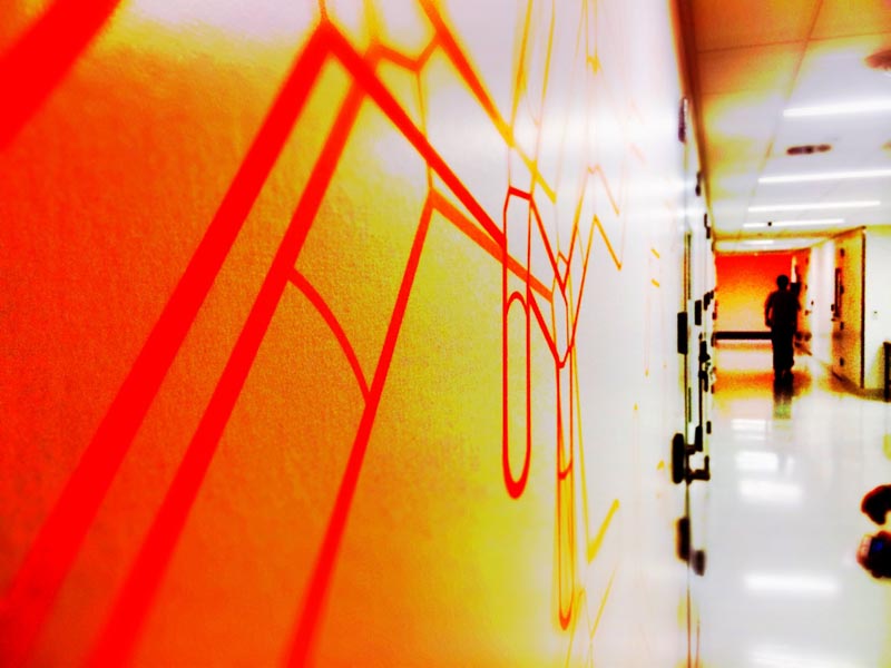 Brand Storytelling Identity Integration + Experience Design