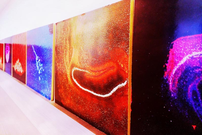 Brand Storytelling Identity Integration + Experience Design