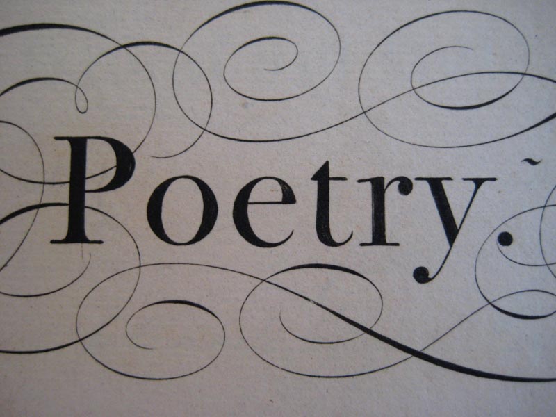 Blandism and the Detailing of Typographic Design Linguistics