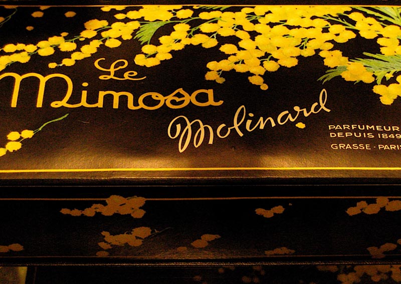 Designed 250 Years Ago | The Art of Anniversaries