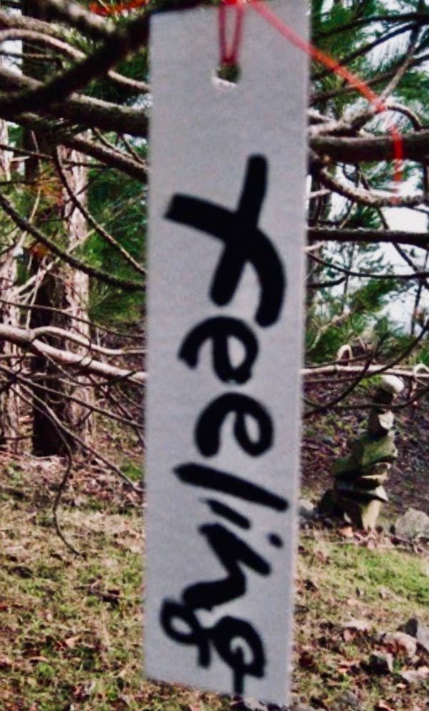 Brand Feel | Emotionalism in Branded Sensations