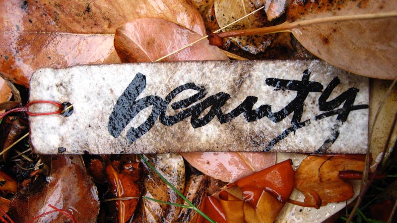 Brand Feel | Emotionalism in Branded Sensations